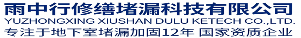 大足雨中行修缮堵漏科技有限公司